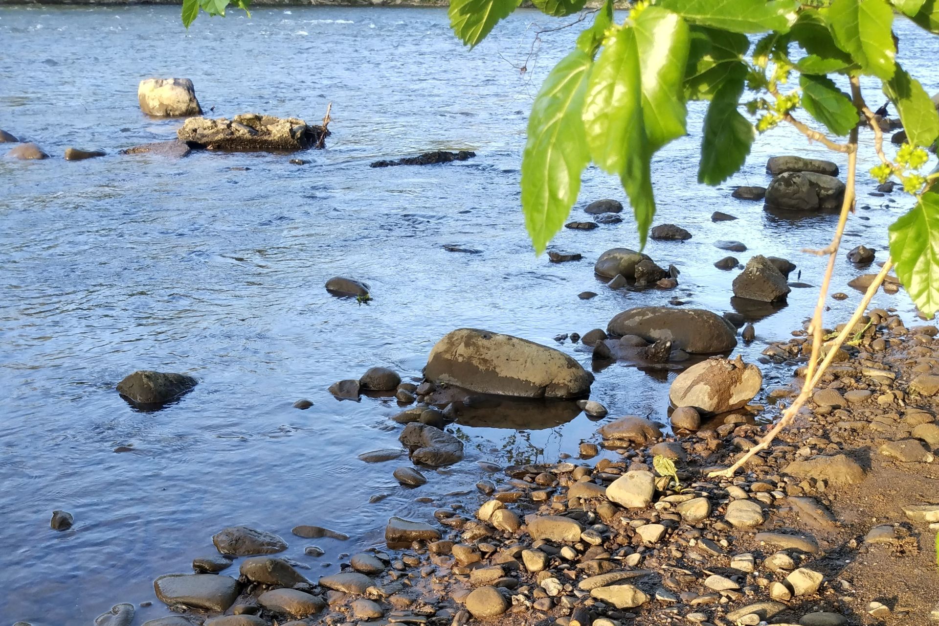 The Youghiogheny River in Connellsville, Pennsylvania.